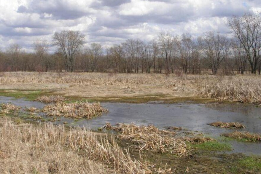 Indiana has already lost 85 percent of its wetlands.