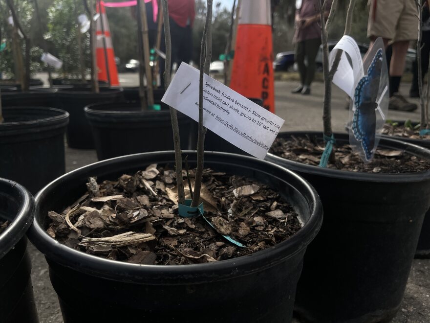 The county’s Arbor Day event drew some 60 people, and those who planted trees received a free tree to take home to plant.