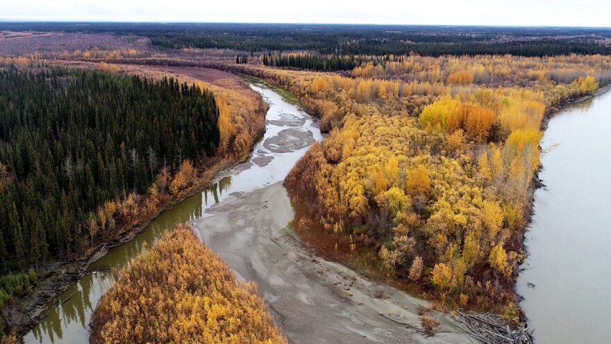 A 2022 drone image of the Yukon River and its floodplain downstream from Beaver, Alaska, shows accumulations of sediments harboring mercury.