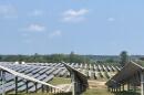 Sheep graze on land between 1.8 million solar panels in Spotsylvania County.