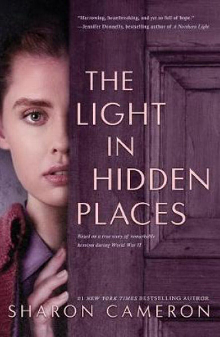 Cover of “The Light In Hidden Places”