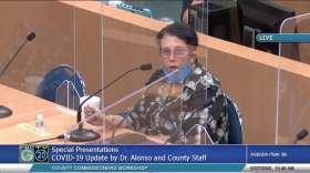 Dr.Alina Alonso at the Palm Beach County Commission meeting. 10/27/2020