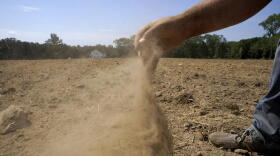  Hay farmer Milan Adams releases a handful of dry soil in a recently plowed field.
