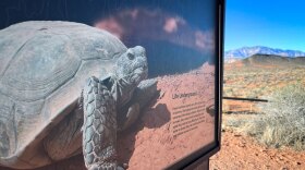 A sign educates visitors about the Mojave Desert tortoise near a trailhead at the Red Cliffs National Conservation Area, Oct. 7, 2025.