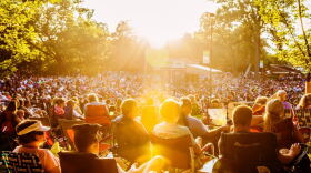 The Springfield Arts Festival is in its 52nd year and growing. 