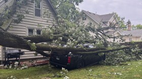 Broken tall tree fallen onto a car parked in a yard next to a house