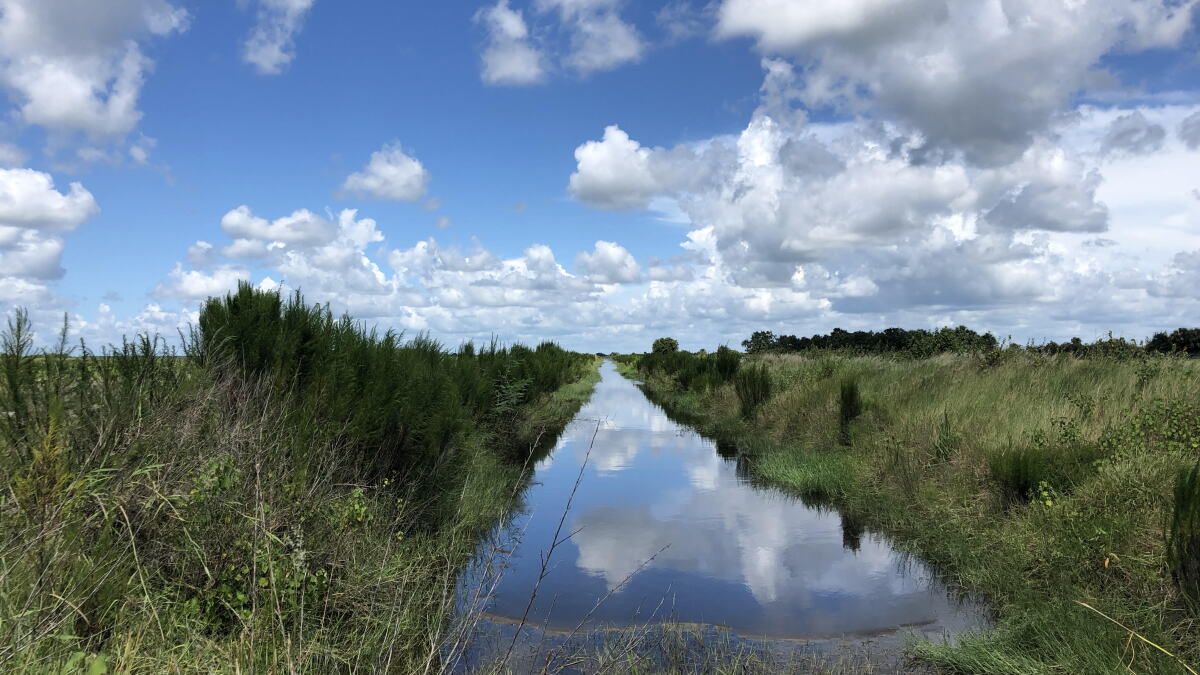 Bills would allow Florida's protected lands to be sold for agriculture - Vimarsana News