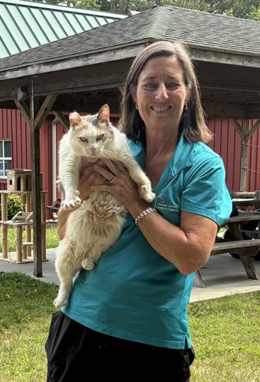 Kim Nock, Executive Director of the Humane Society of Wicomico County and Head of Animal Control