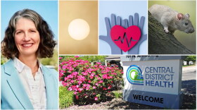 Kristin Ryan is the new director of Central District Health