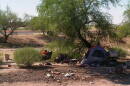 360 homeless outreach team