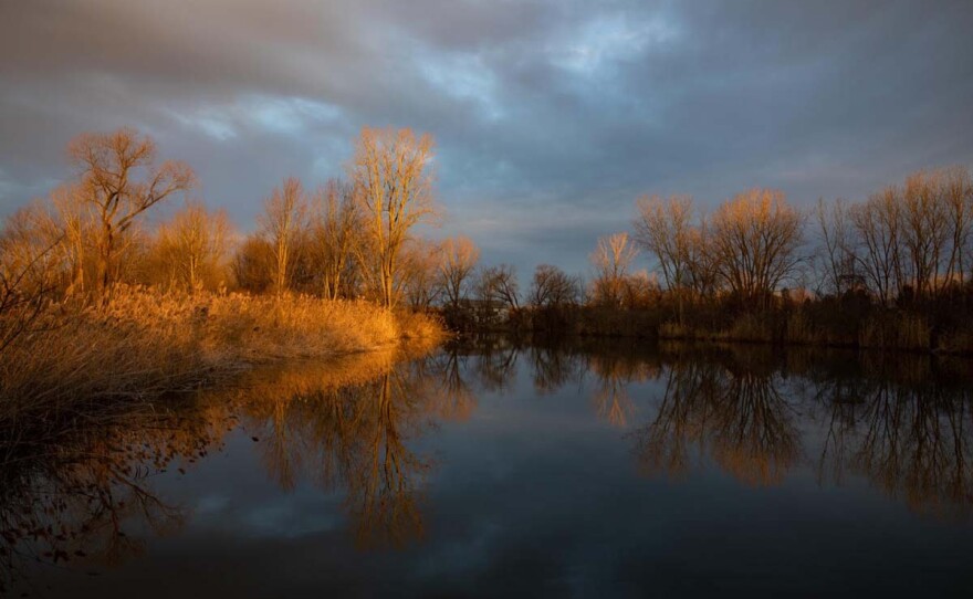 a large expanse of lake surrounded by trees at dusk with a purple blue sky