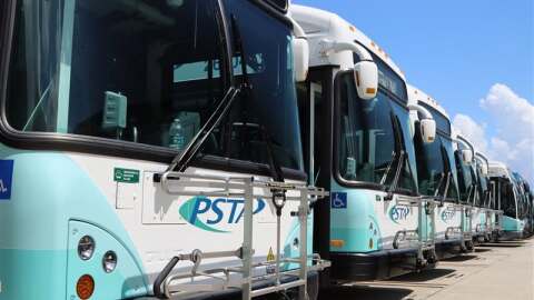 Line of blue and white buses 