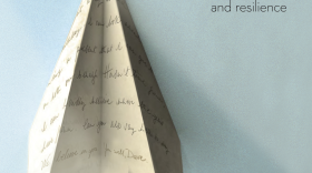 Book Cover - Beauty in the Broken Places