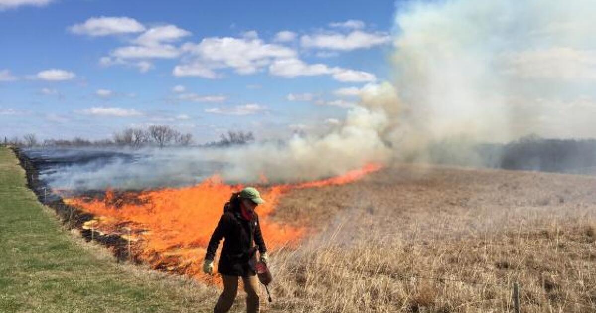 Why Do Farmers Burn Their Fields? NPR Illinois