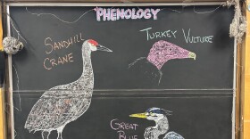Chalk illustrations show a Great Blue Heron, a Sandhill Crane, and a Turkey Vulture.