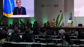 Marina Silva, Brazil environment minister, speaks during a plenary session at the COP30 U.N. Climate Summit, Tuesday, Nov. 18, 2025, in Belem, Brazil.