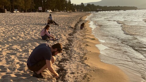 Scordo investigates the contents of debris near the shores of Lake Tahoe to understand how wildfire plumes deposit smoke into freshwater systems.
