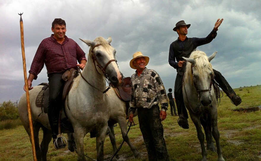 <em>Gardiens</em>, or cowboys, Renaud Vinuesa (on horseback, left) and Olivier Terroux (on horseback, right) are out in the Camargue region of southern France for a branding, or <em>la ferrade</em>, with their tridents.