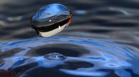 Surface tension also pulls water into round droplets.