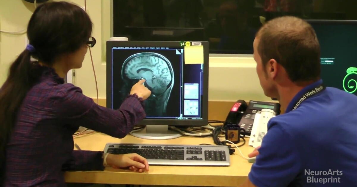 Blend of science and art improving neurological health | Connecticut Public