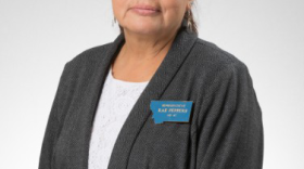 Rep. Rae Peppers (D) - HD41