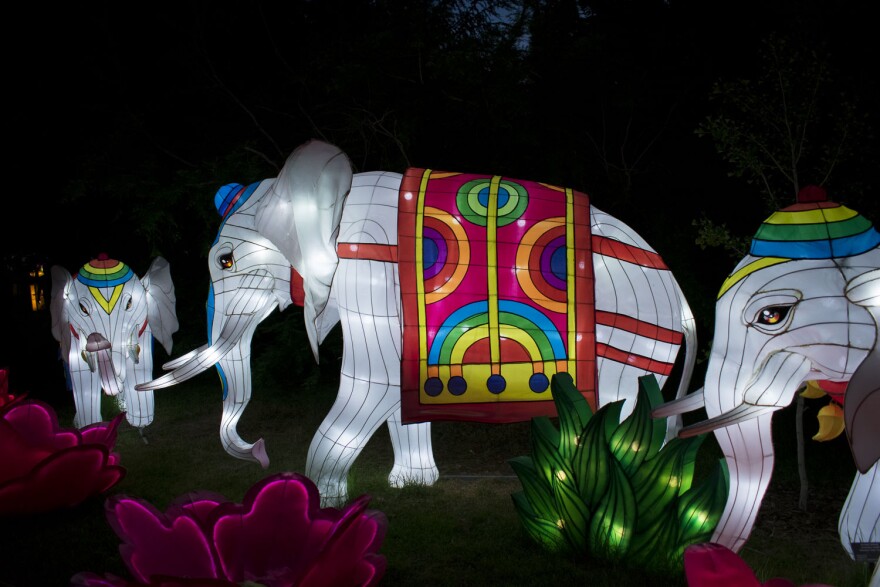 A photo taken at night of three elephant lanterns wearing bright colors in a park, surrounded by lanterns that look like flowers.