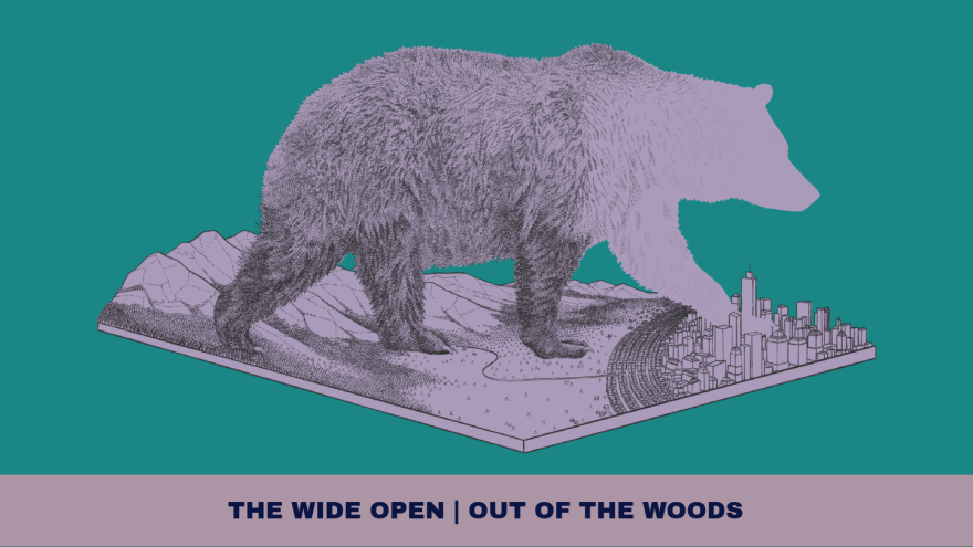The Wide Open — Out of the Woods