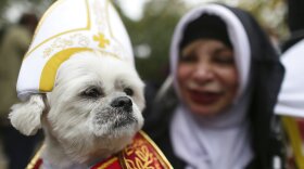 Dogs get in on the Halloween fun. (AP Photo/Mary Altaffer)