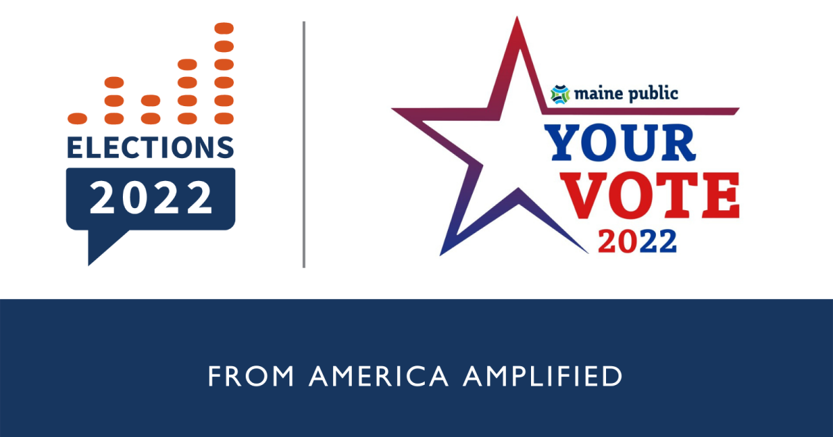Your Vote 2022: What do you need to know about the midterm elections ...