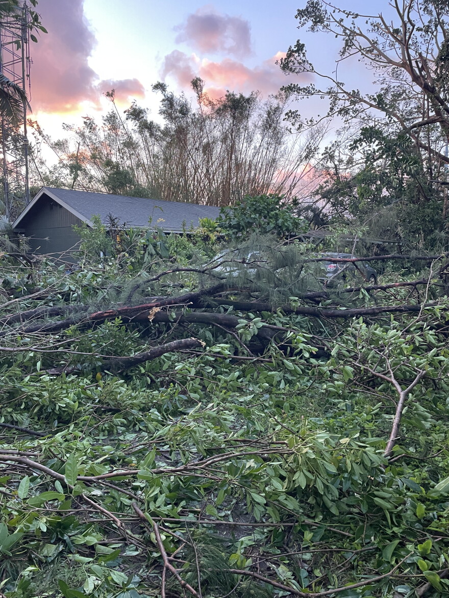 Hurricane Lowell downed trees near the KKCR station, located in Princeville on Kauaʻi's North Shore. (September 8, 2026)