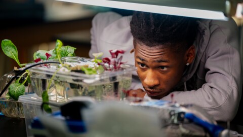 Jashan Smith, a senior at University City High School in the St. Louis area, looks at lettuce growth during an agriculture sciences class at the school on Wednesday, March 4, 2026, in University City, Missouri.