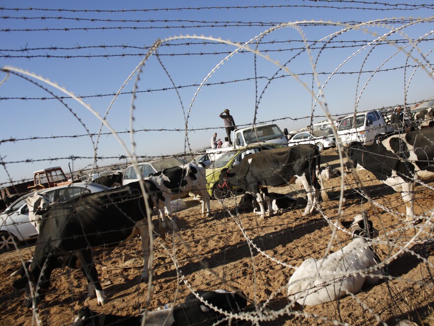 Syrian Kurds with their livestock wait behind a border fence near the southeastern town of Suruc in Sanliurfa province on Monday. Some 100,000 Kurds have fled from Syria into Turkey amid intense fighting between peshmerga forces and ISIS.