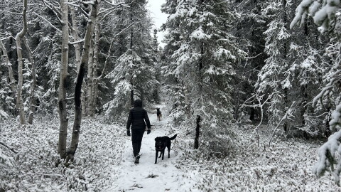 Early season snow is less common in Fairbanks than it used to be.