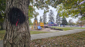 After community members voiced concern, the city amended its plan and will cut down fewer trees.