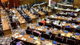 Only two members of the Indiana House voted against the new state budget, both of them Republicans.