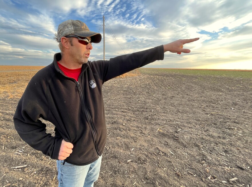 Man pointing in wheat field