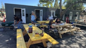 Picnic tables are shown on pavement under the shade of a large tree. A few people are seated at the tables. 