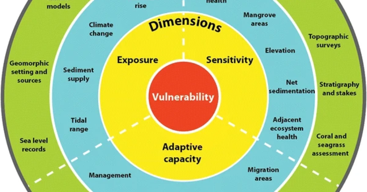 Invulnerability Drawing Comics, Vulnerability and Insight | HPPR