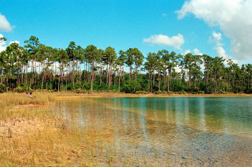 The Everglades as seen by WLRN listeners: Campers sit along the water at Long Pine Key Campground in Everglades National Park. April 2022.