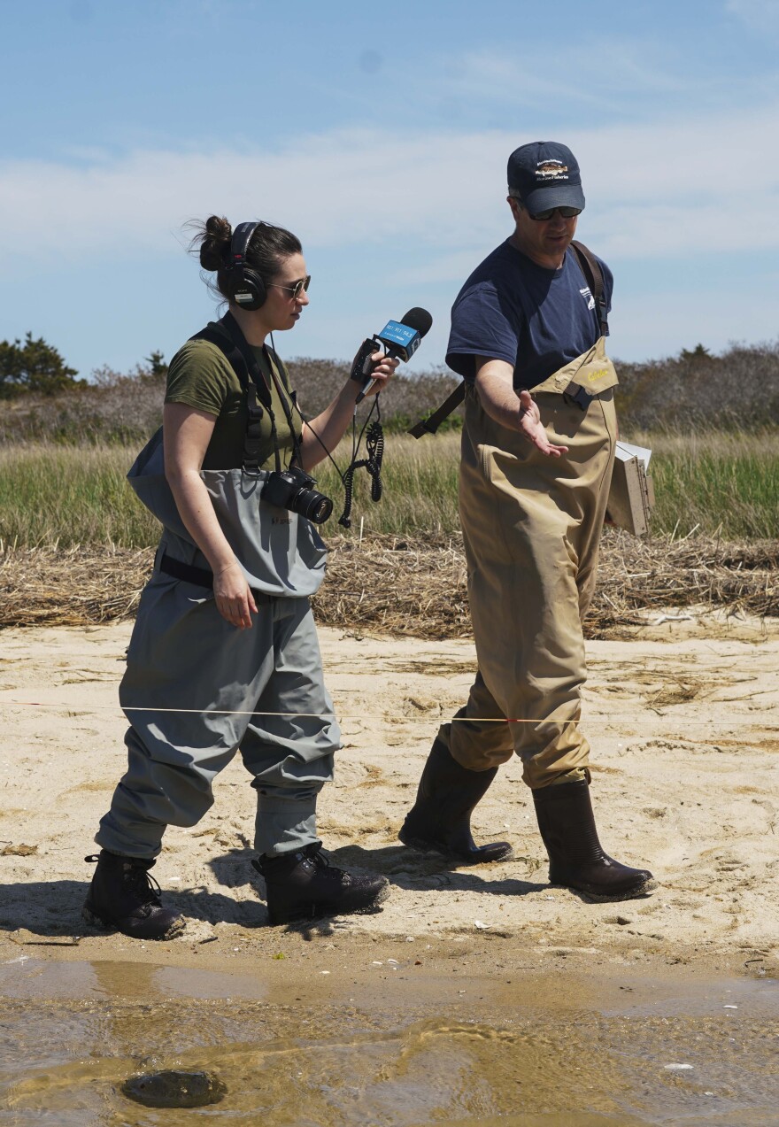 CAI's Eve Zuckoff in the field reporting.