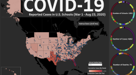 Teacher Alisha Morris created <a href="https://docs.google.com/spreadsheets/d/e/2PACX-1vQSD9mm5HTXhxAiHabZA6BPUByWBlP5HZ2jfOPEeGZkMB0ZFsmFBL5orqjIq22mjFNZ7n-11ObCylGn/pubhtml">an interactive tracker </a>of coronavirus in schools, current through Aug. 23, including this map, created by another volunteer. The National Education Association will now take on updates to the database.