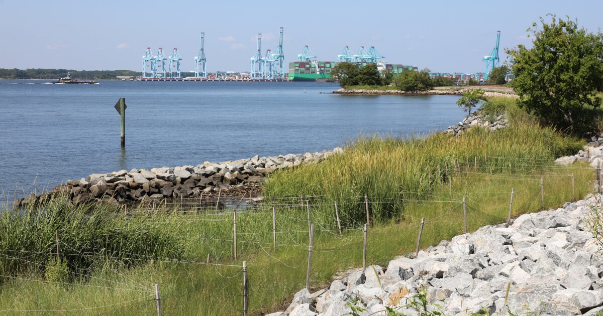 Lambert's Point coal terminal now features 1,500 feet of living shoreline