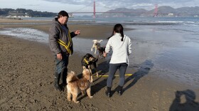 Robert Keller and Jinhee "Genie" Park with the ActionPackSF dogs at Chrissy Field