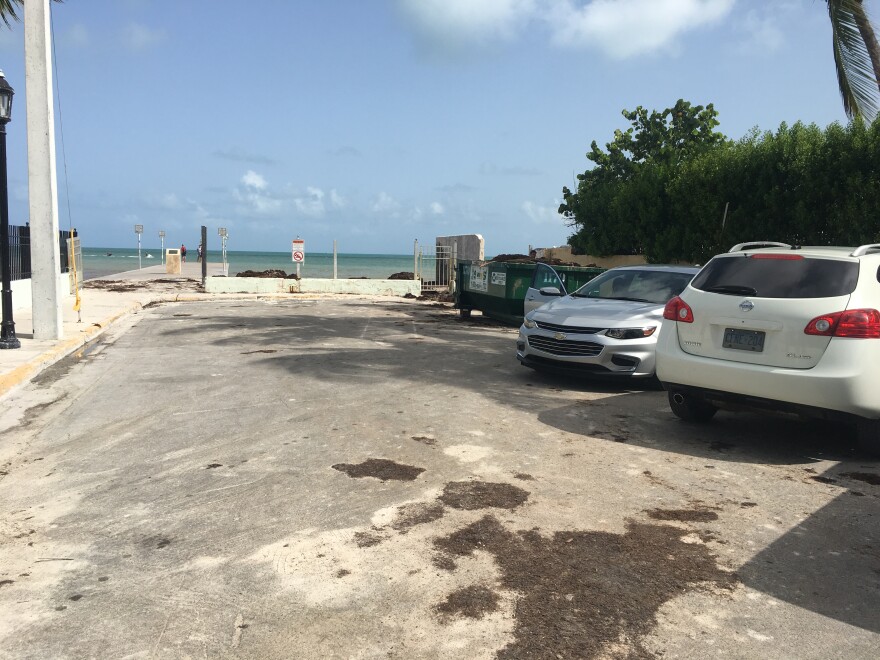 Nine parking spaces are set to be replaced by new landscaping, pavers and seats for patrons of a nearby restaurant and guesthouse.