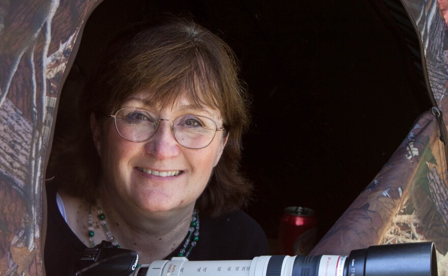 Laura Erickson holds a camera with a long lens inside a duck blind.