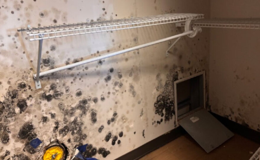 A photograph from an August 2026 Government Accountability Office report shows suspected mold in a barracks closet at Naval Station Norfolk. The report said military officials identified the suspected mold in 2023 and have closed the affected room. But the mold had not been removed as of February 2026.