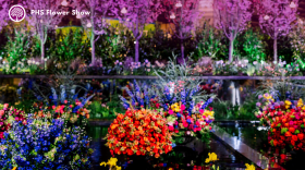 A photo of vibrant flowers from the Philadelphia Flower Show, with the PHS logo in the corner