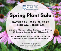 Plant Sale_Facebook post.png