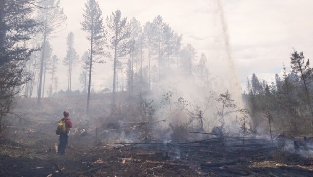 A wildland firefighter watches as a helicopter drops flame retardant from above to tamp down flames of a wildfire in a Minnesota forest.