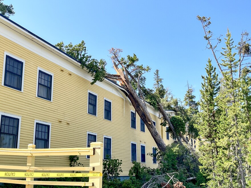 Witnesses say about seven large pines fell against the roof of the building addition of Lake Hotel.